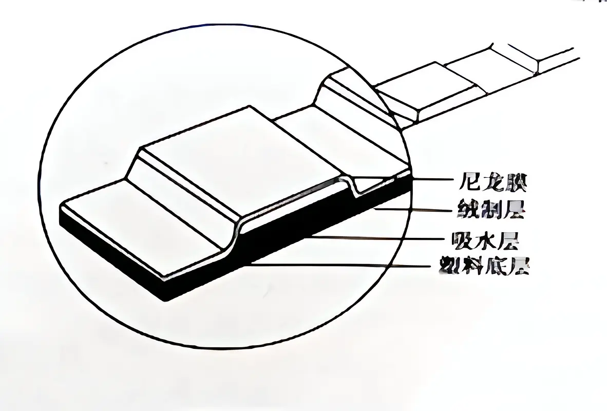 扁是什么结构  第1张