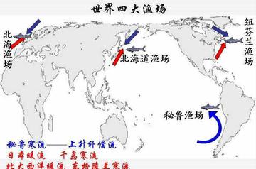 世界四大渔场-从洋流对渔场影响来划分的四大渔场