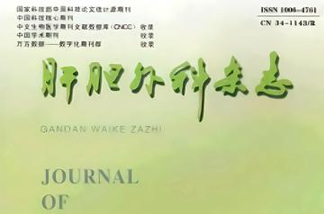 肝胆外科杂志-1993年创刊的学术期刊