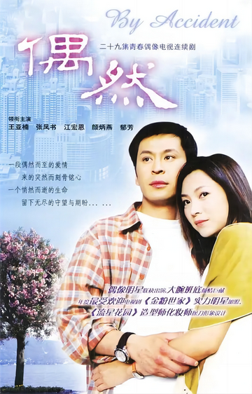 偶然-2004年王亚楠主演电视剧