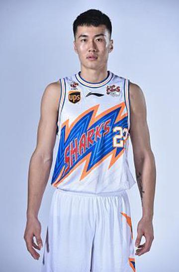 翟逸