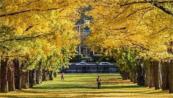 澳大利亚国立大学