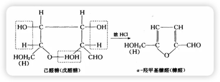 糖类