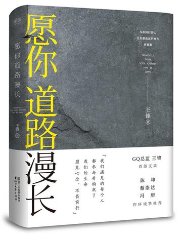 愿你道路漫长-2016年王锋所著图书