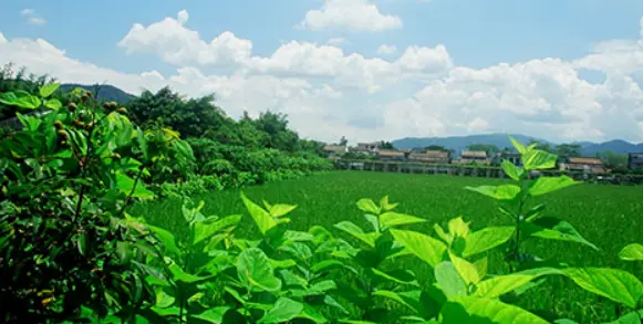 孙中山故居纪念馆