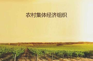 农村集体经济组织-对土地拥有所有权的经济组织