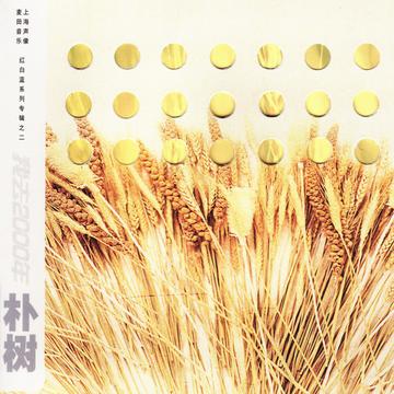 火车开往冬天-2003年朴树演唱的歌曲