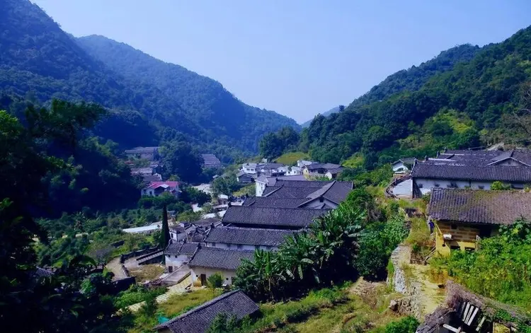 桥溪村