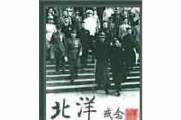 北洋-戒念创作的小说