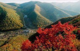 翠云山-云南师宗县葵山乡景点