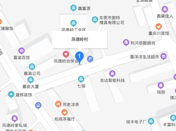 凤德岭村