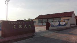 东兴村-黑龙江齐齐哈尔市泰来县大兴镇下辖村
