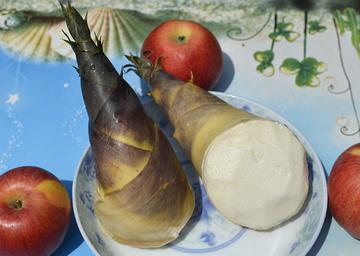 苍南马蹄笋-浙江苍南的特产食用笋