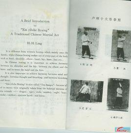 十大形- 抖音百科