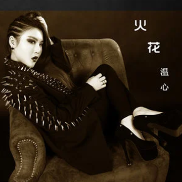 火花-温心演唱的歌曲