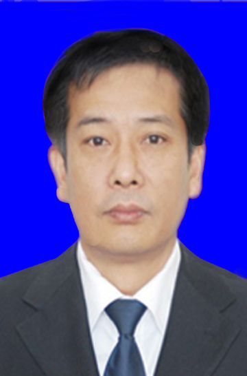 秦卫东-武汉大学经济与管理学院教授