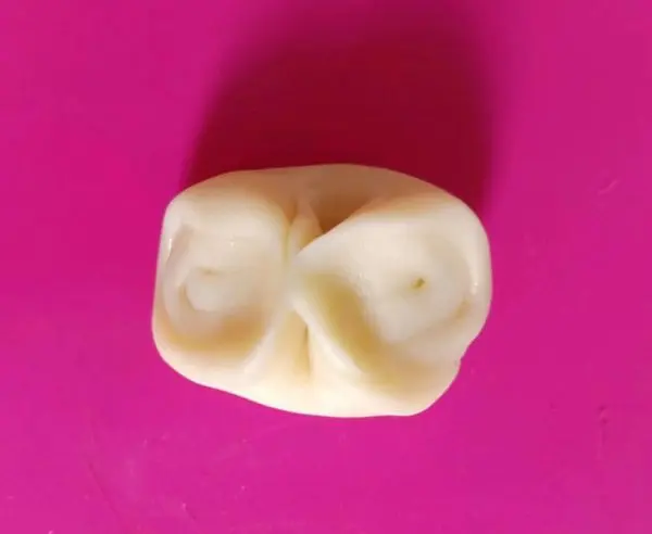 老婆饼