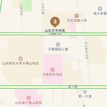山东艺术学院舞蹈学院-山东艺术学院二级学院