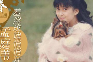 羞答答的玫瑰静悄悄地开-1993年孟庭苇演唱歌曲