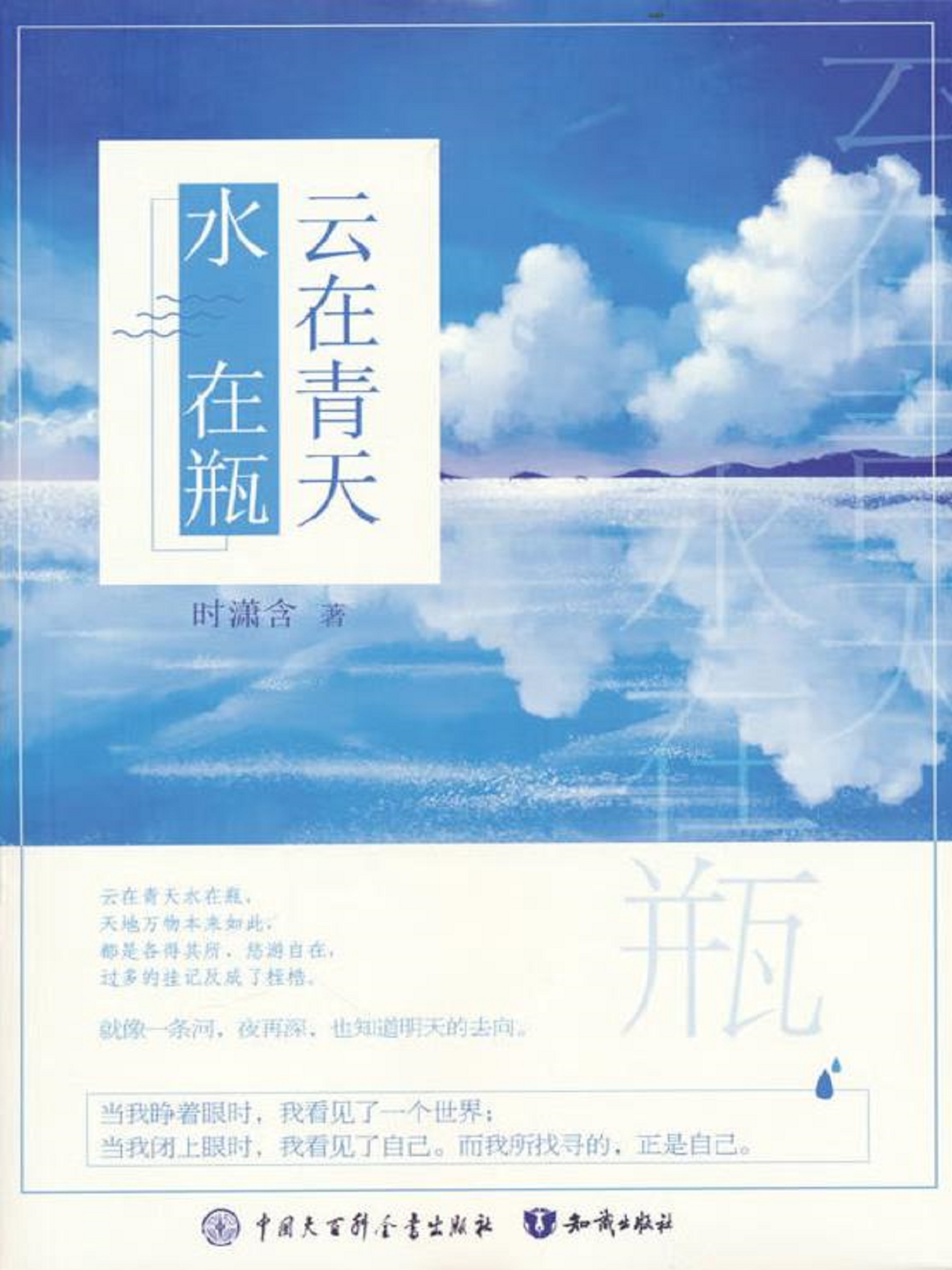 云在青天水在瓶- 抖音百科