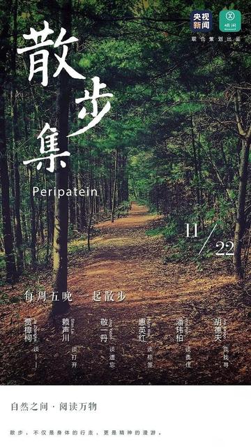 散步集-2019年王博伦执导电影