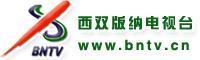 西双版纳电视台-1990年成立的电视台