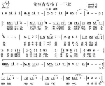 我被青春撞了一下腰-1993年张真演唱歌曲
