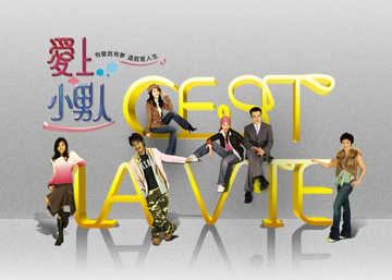 爱上小男人-2006年王宇婕等主演的电视剧