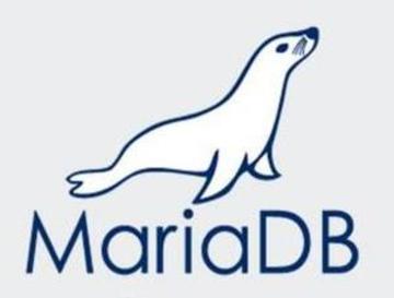 mariaDB-数据库管理系统