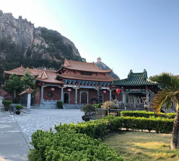 梦见白花，纯洁与希望的象征