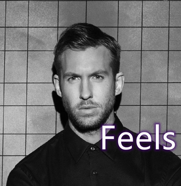 Feels-加尔文·哈里斯制作单曲