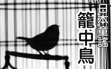 笼中鸟-快懂百科