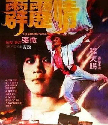 霹雳情-1984年张彻执导的电影