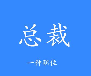 总裁-商业组织机构中的主要负责人