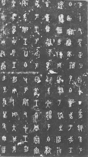 金文档案- 抖音百科
