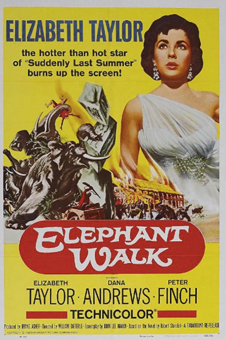 象宫鸳劫- 抖音百科