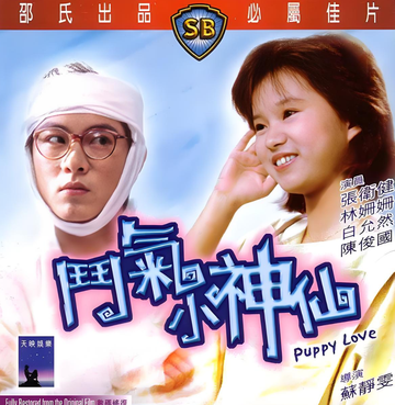 斗气小神仙-1985年张卫健等主演的电影