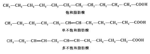 脂肪酸