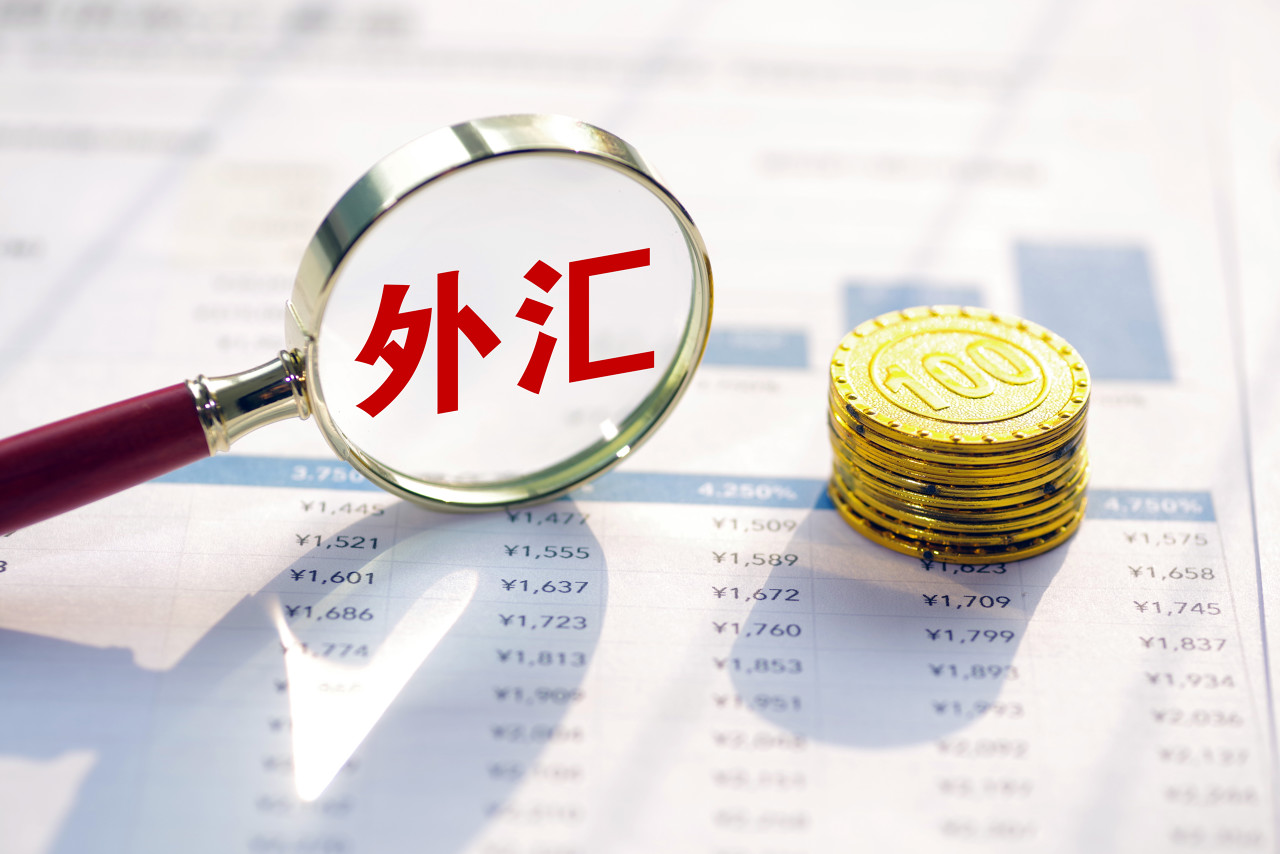 外汇储备- 抖音百科