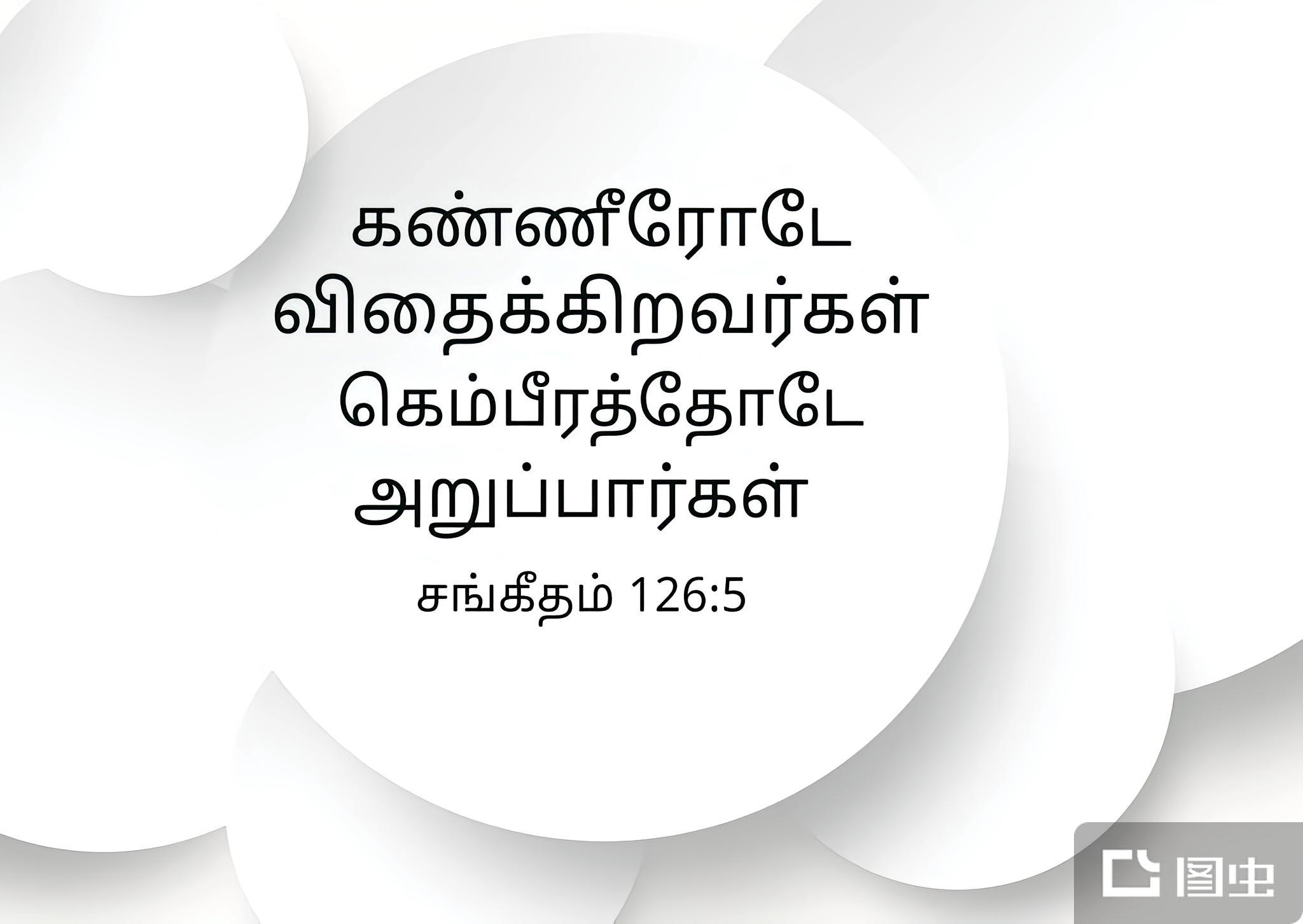 泰米尔语- 抖音百科