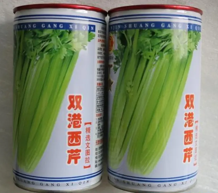 津南区