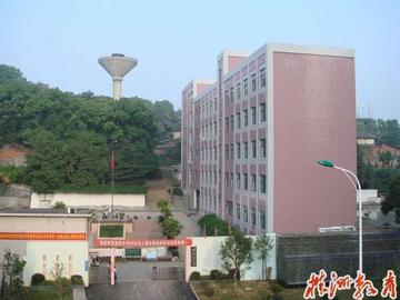 田心中学