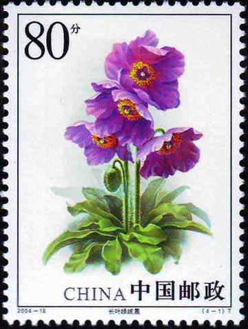 绿绒蒿-2004年发行的特种邮票