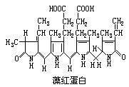 藻红素