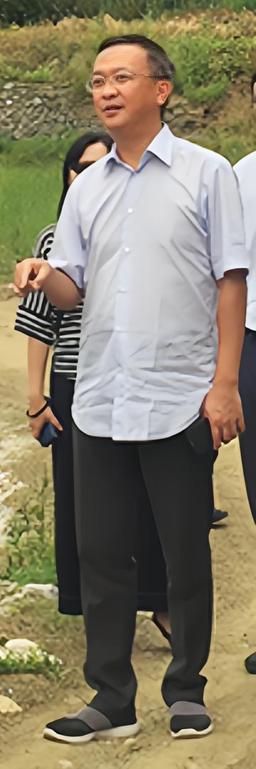 张龙