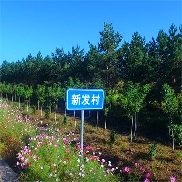 新发村-云南省宣威市龙场镇新发村