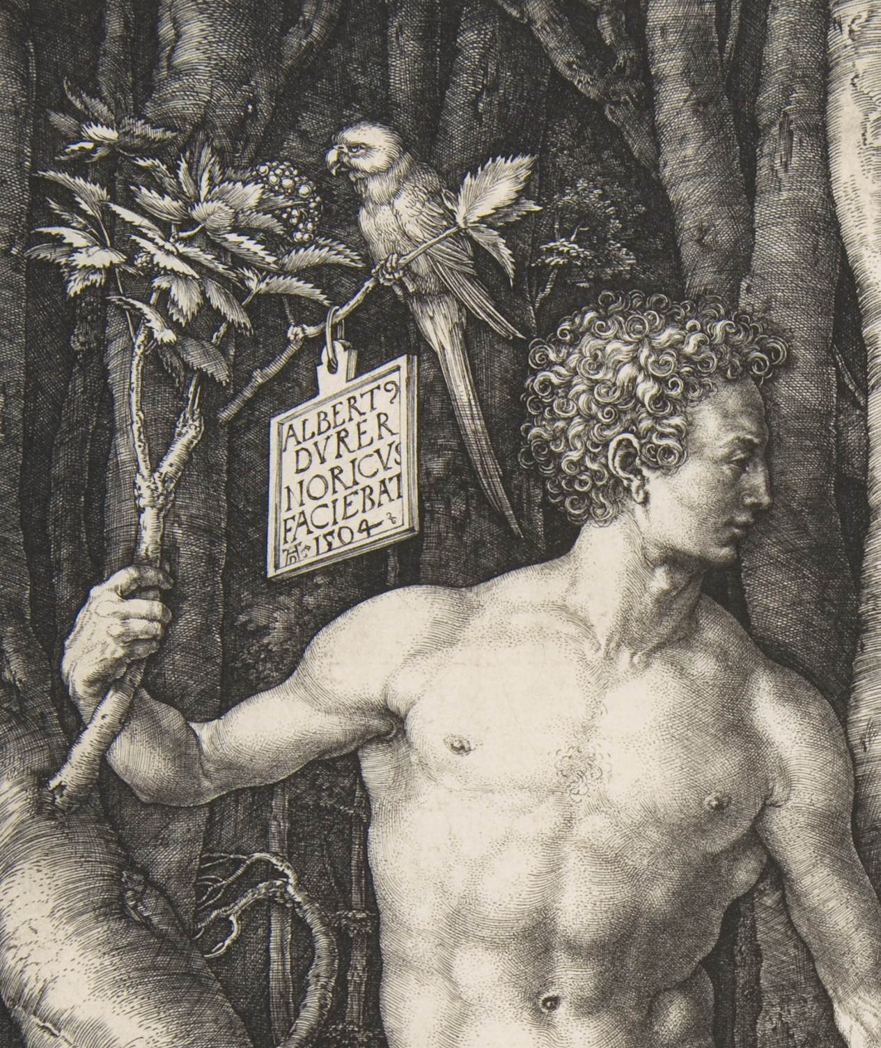 亚当- 抖音百科