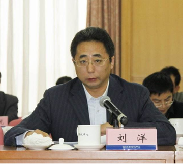刘洋