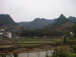 张新场村-张新场村