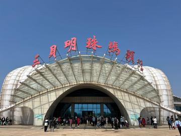 唐山湾-位于渤海湾北部